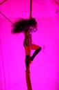 Les Tziganes tombent du ciel 020 * 4368 x 2912 * (4.92MB)